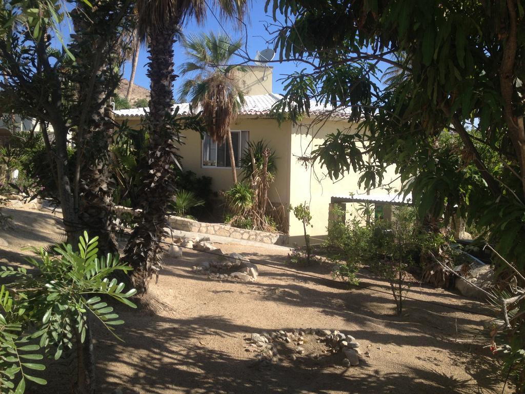 Surfer'S Paradise, Yoga&Food Garden@Costa Azul, Los Cabos San José del Cabo Eksteriør billede